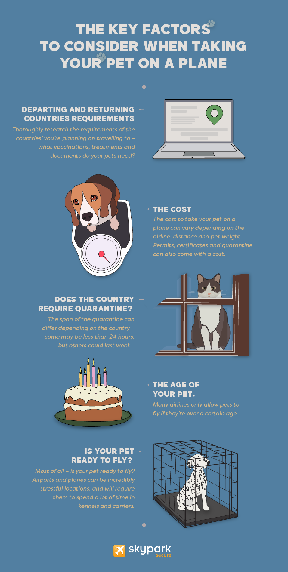 Key factors to consider when taking a pet on a plane