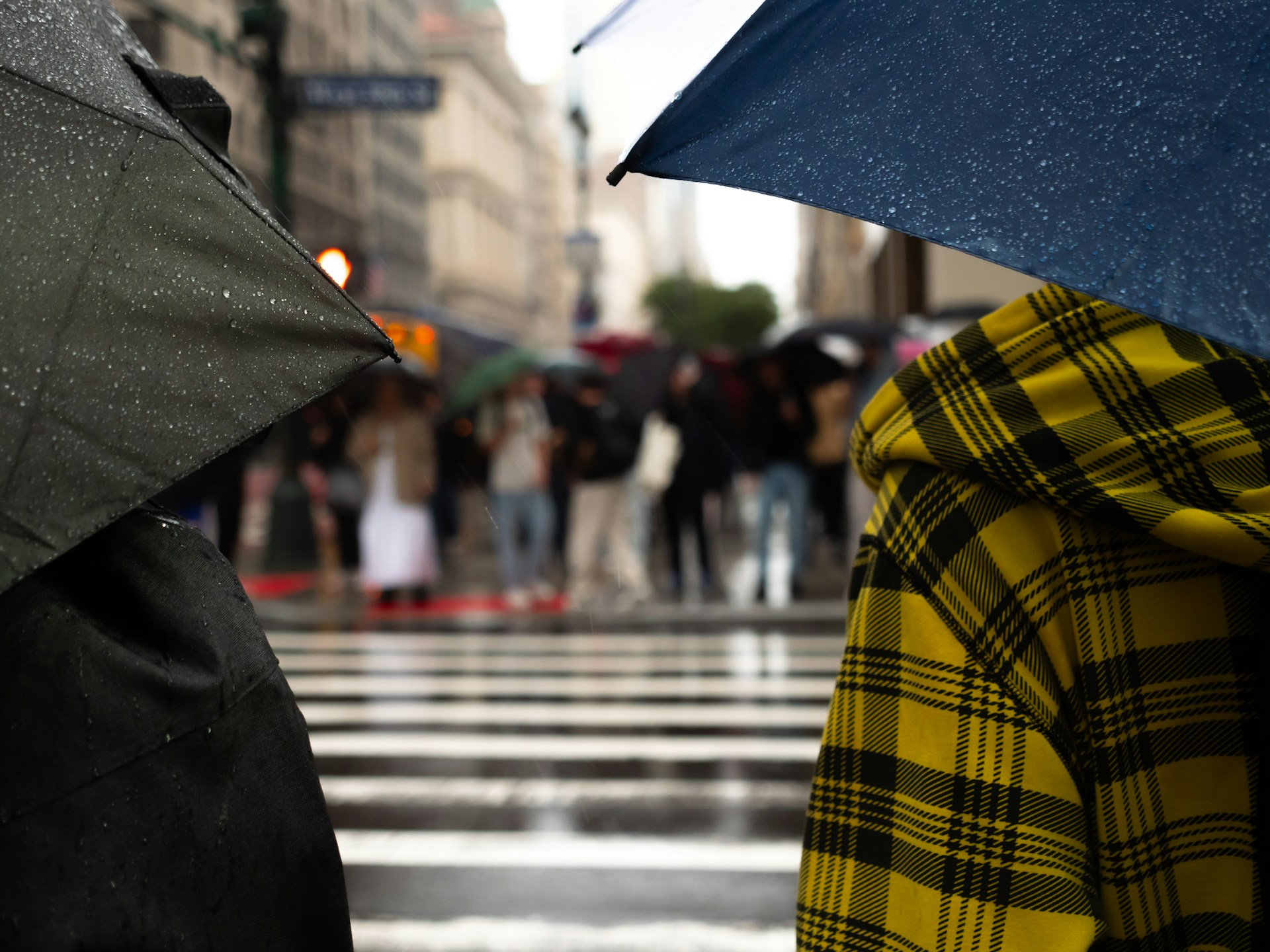 Two people with umbrellas up, waiting at a crossing