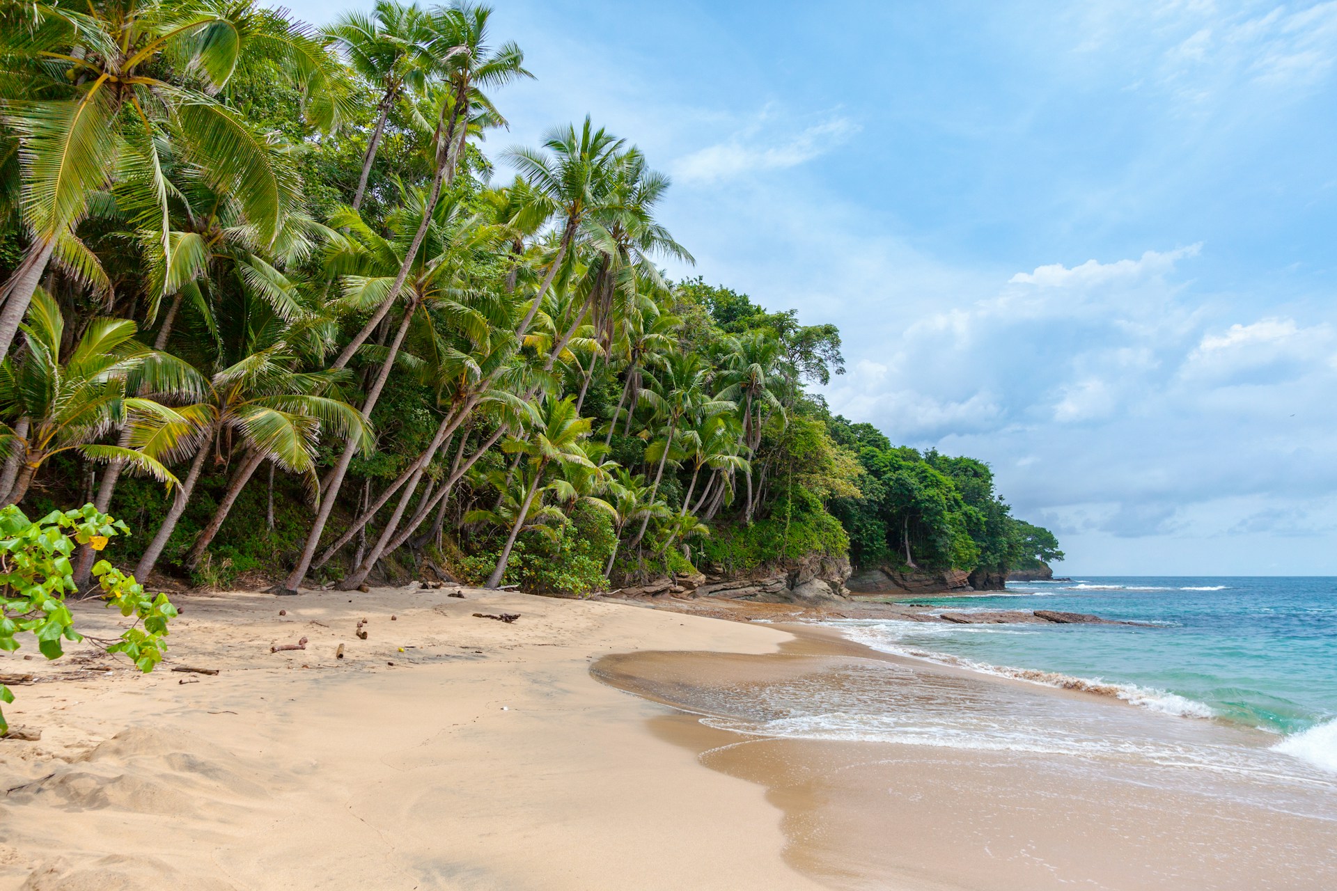 A clear beach with a treeline behind it