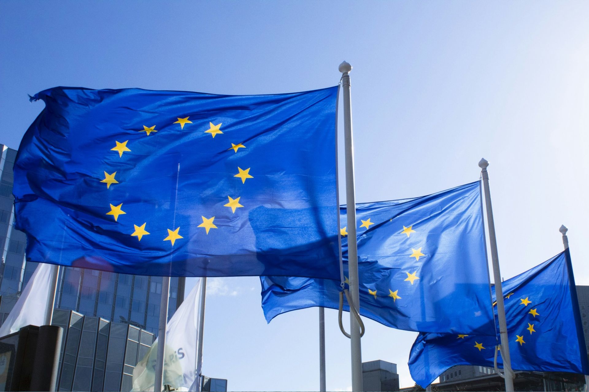 A row of EU flags